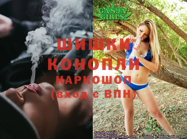 крисы Нижневартовск