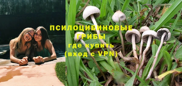 2c-b Мегион