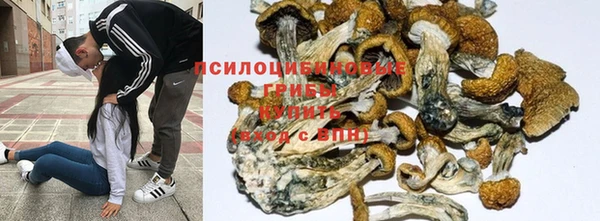 2c-b Мегион