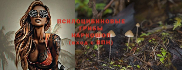 2c-b Мегион