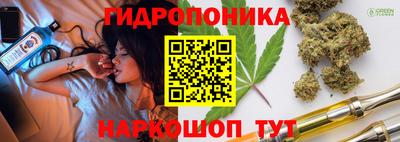шишки Ипатово