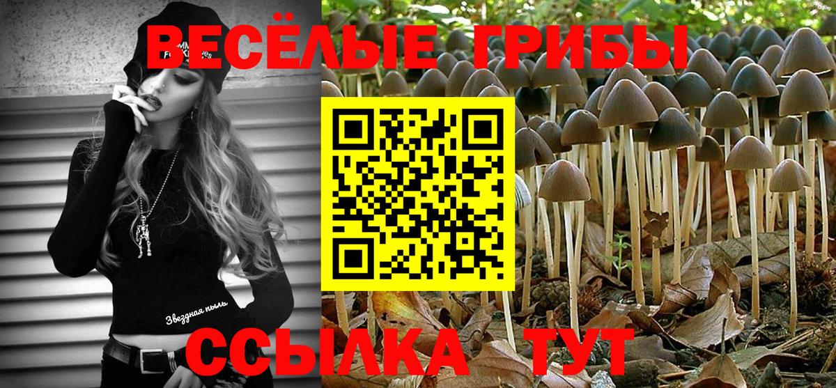 Псилоцибиновые грибы MAGIC MUSHROOMS  Чита 