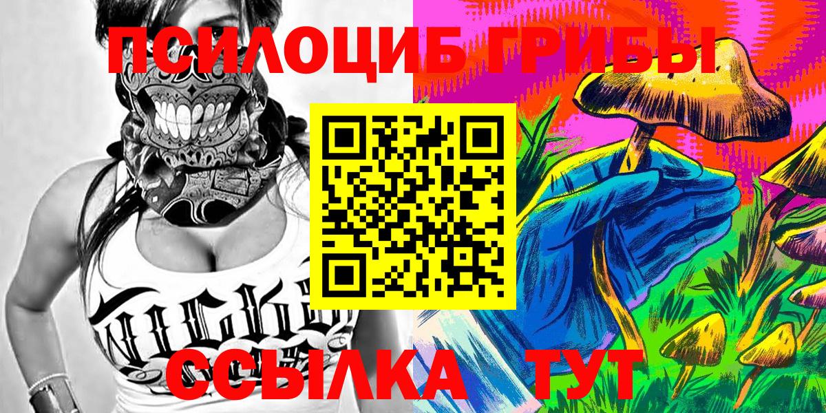 Чита  Галлюциногенные грибы Psilocybine cubensis  Вход с VPN  Псилоцибиновые грибы Psilocybine cubensis 