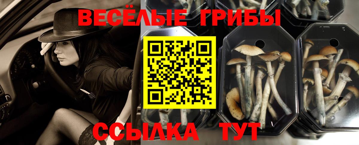 Галлюциногенные грибы MAGIC MUSHROOMS Чита